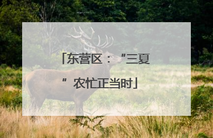 东营区：“三夏”农忙正当时