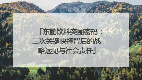 东鹏饮料突围密码：三次关键抉择背后的战略远见与社会责任