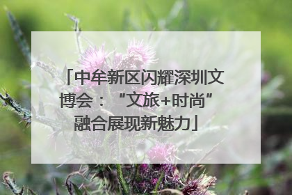 中牟新区闪耀深圳文博会：“文旅+时尚”融合展现新魅力