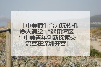 中美师生合力玩转机器人课堂 “遇见湾区”中美青年创新探索交流营在深圳开营