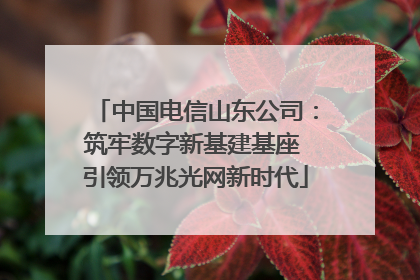 中国电信山东公司：筑牢数字新基建基座 引领万兆光网新时代