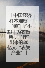中国经济样本观察·“镇”了不起｜为衣做架，“挂”出来的80亿元“衣架产业”