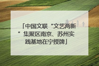 中国文联“文艺两新”集聚区南京、苏州实践基地在宁授牌
