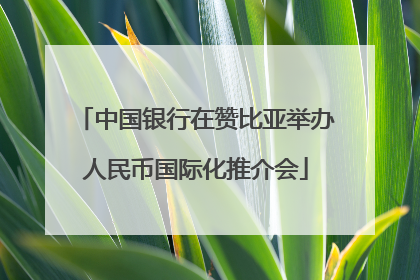 中国银行在赞比亚举办人民币国际化推介会