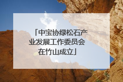 中宝协绿松石产业发展工作委员会在竹山成立