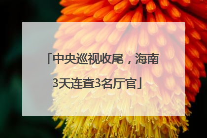中央巡视收尾，海南3天连查3名厅官