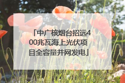 中广核烟台招远400兆瓦海上光伏项目全容量并网发电