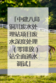 中建八局铜川废水处理站项目废水深度处理（零排放）站全面通水调试