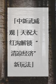 中新武威观｜天祝大红沟解锁“清凉经济”新玩法