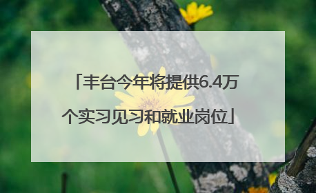 丰台今年将提供6.4万个实习见习和就业岗位