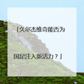 久尔杰维奇能否为国足注入新活力？