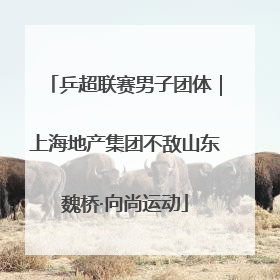 乒超联赛男子团体｜上海地产集团不敌山东魏桥·向尚运动