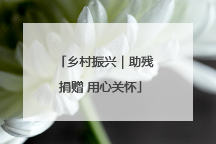 乡村振兴｜助残捐赠 用心关怀