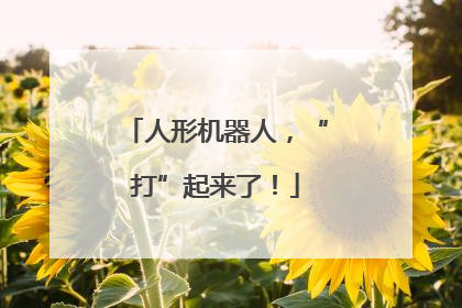 人形机器人，“打”起来了！
