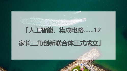 人工智能、集成电路……12家长三角创新联合体正式成立