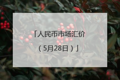 人民币市场汇价（5月28日）