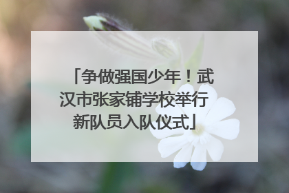 争做强国少年！武汉市张家铺学校举行新队员入队仪式