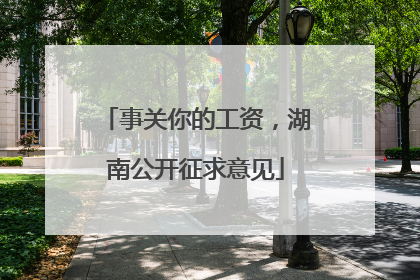 事关你的工资，湖南公开征求意见