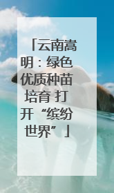 云南嵩明：绿色优质种苗培育 打开“缤纷世界”