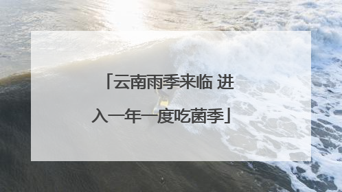 云南雨季来临 进入一年一度吃菌季