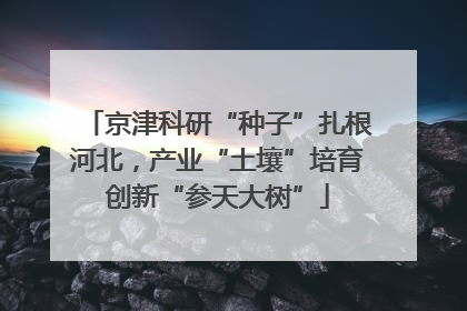 京津科研“种子”扎根河北，产业“土壤”培育创新“参天大树”