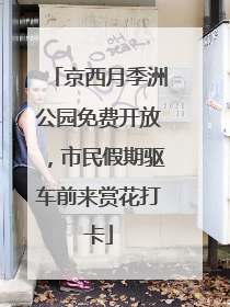 京西月季洲公园免费开放，市民假期驱车前来赏花打卡