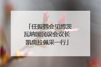 任振鹤会见博茨瓦纳国民议会议长凯奥拉佩采一行