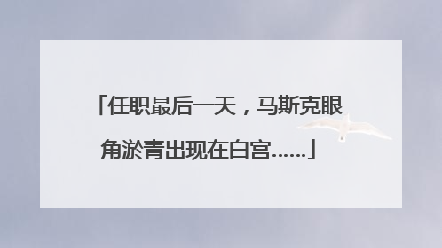任职最后一天，马斯克眼角淤青出现在白宫……