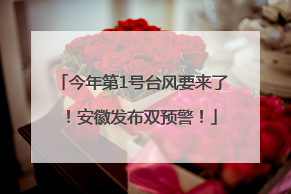 今年第1号台风要来了！安徽发布双预警！