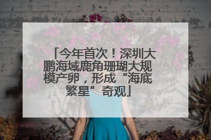 今年首次！深圳大鹏海域鹿角珊瑚大规模产卵，形成“海底繁星”奇观