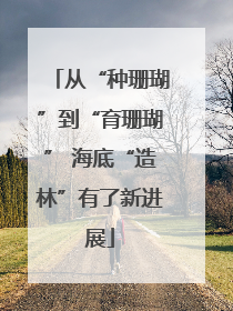 从“种珊瑚”到“育珊瑚” 海底“造林”有了新进展