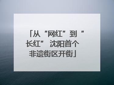 从“网红”到“长红” 沈阳首个非遗街区开街