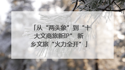 从“两头象”到“十大文商旅新IP” 新乡文旅“火力全开”