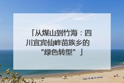 从煤山到竹海：四川宜宾仙峰苗族乡的“绿色转型”