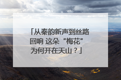 从秦韵新声到丝路回响 这朵“梅花”为何开在天山？