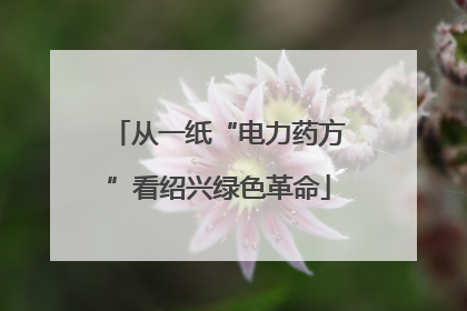 从一纸“电力药方”看绍兴绿色革命