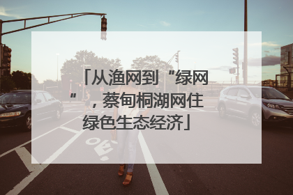 从渔网到“绿网”，蔡甸桐湖网住绿色生态经济
