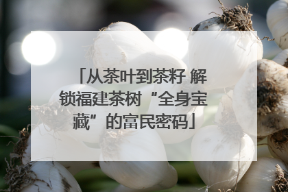 从茶叶到茶籽 解锁福建茶树“全身宝藏”的富民密码