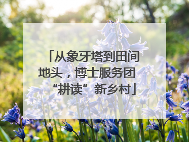 从象牙塔到田间地头，博士服务团“耕读”新乡村