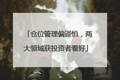 仓位管理偏谨慎，两大领域获投资者看好