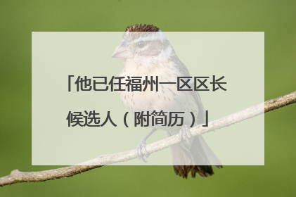 他已任福州一区区长候选人（附简历）