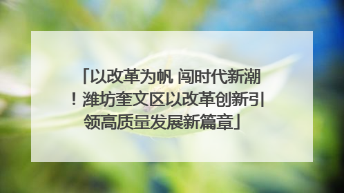 以改革为帆 闯时代新潮！潍坊奎文区以改革创新引领高质量发展新篇章
