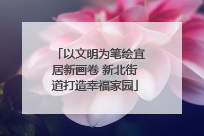 以文明为笔绘宜居新画卷 新北街道打造幸福家园