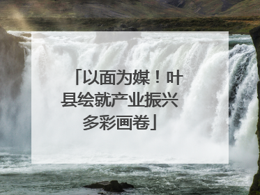 以面为媒！叶县绘就产业振兴多彩画卷