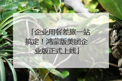 企业用餐差旅一站搞定！鸿蒙版美团企业版正式上线