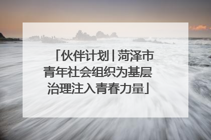 伙伴计划│菏泽市青年社会组织为基层治理注入青春力量