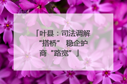叶县：司法调解“搭桥” 稳企护商“路宽”