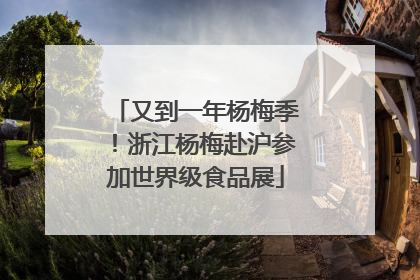 又到一年杨梅季！浙江杨梅赴沪参加世界级食品展