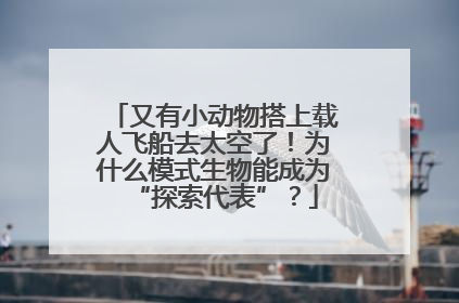 又有小动物搭上载人飞船去太空了！为什么模式生物能成为“探索代表”？