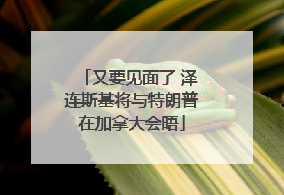 又要见面了 泽连斯基将与特朗普在加拿大会晤